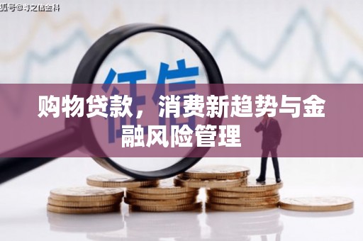 沙坪坝购物贷款，消费新趋势与金融风险管理