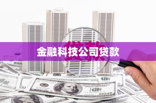 沙坪坝金融科技公司贷款