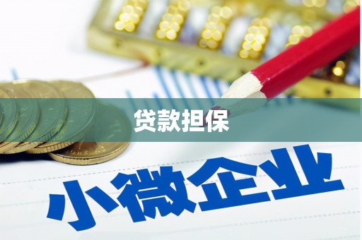 沙坪坝贷款担保