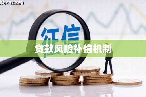 沙坪坝贷款风险补偿机制