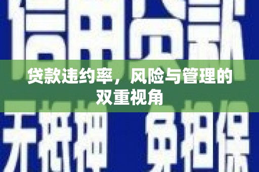 沙坪坝贷款违约率，风险与管理的双重视角