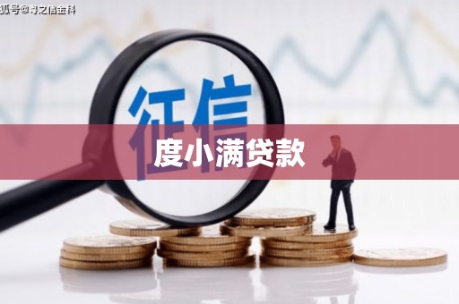 沙坪坝度小满贷款