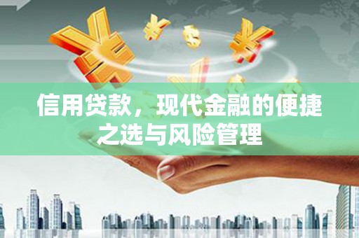 沙坪坝信用贷款，现代金融的便捷之选与风险管理