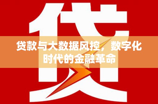 沙坪坝贷款与大数据风控，数字化时代的金融革命