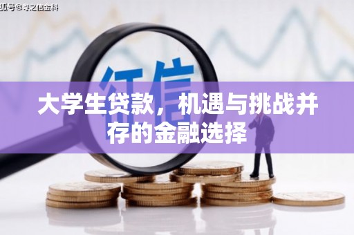 沙坪坝大学生贷款，机遇与挑战并存的金融选择