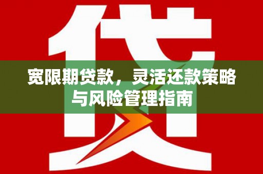 沙坪坝宽限期贷款，灵活还款策略与风险管理指南