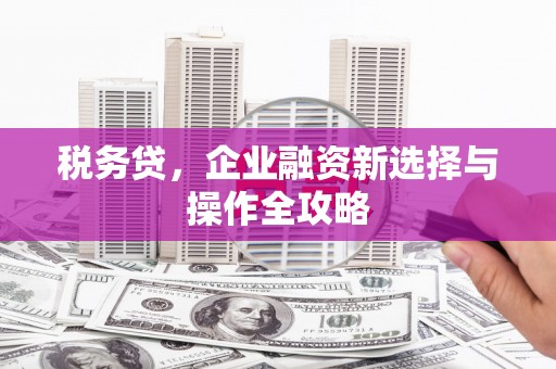 沙坪坝税务贷，企业融资新选择与操作全攻略