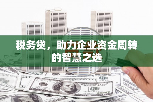 沙坪坝税务贷，助力企业资金周转的智慧之选