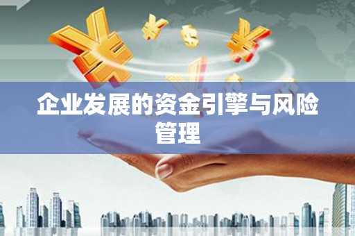 沙坪坝企业发展的资金引擎与风险管理