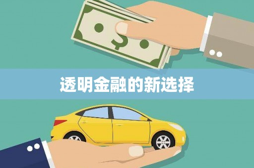 沙坪坝透明金融的新选择