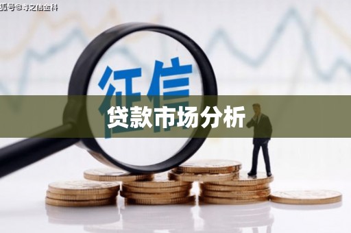 沙坪坝贷款市场分析