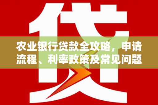 沙坪坝农业银行贷款全攻略，申请流程、利率政策及常见问题解析