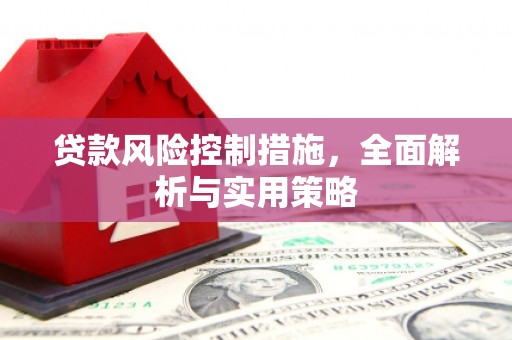 沙坪坝贷款风险控制措施，全面解析与实用策略