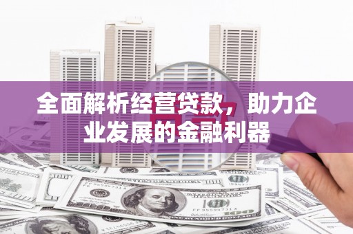 沙坪坝全面解析经营贷款，助力企业发展的金融利器