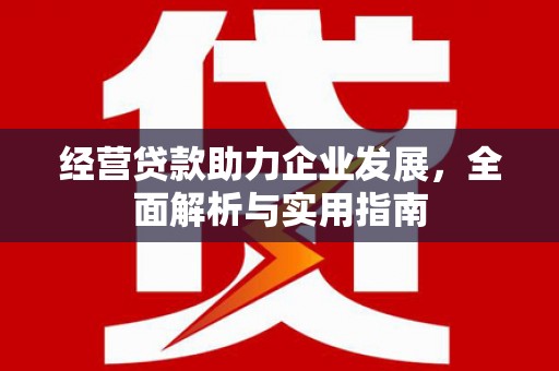 沙坪坝经营贷款助力企业发展，全面解析与实用指南