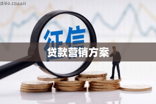 沙坪坝贷款营销方案