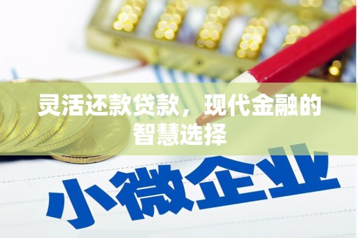 沙坪坝灵活还款贷款，现代金融的智慧选择