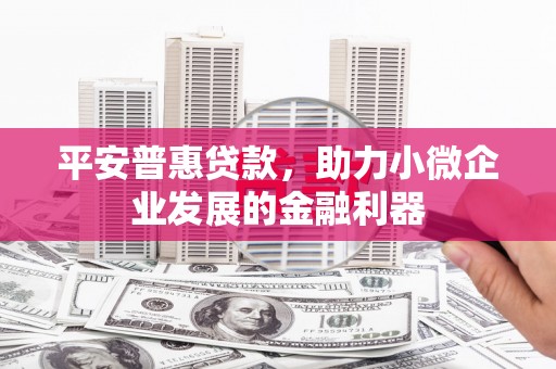 沙坪坝平安普惠贷款，助力小微企业发展的金融利器