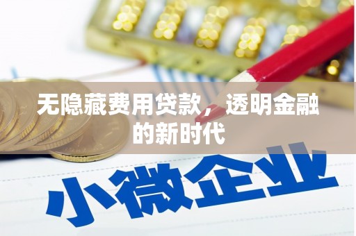 沙坪坝无隐藏费用贷款，透明金融的新时代