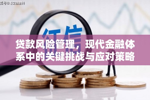 沙坪坝贷款风险管理，现代金融体系中的关键挑战与应对策略