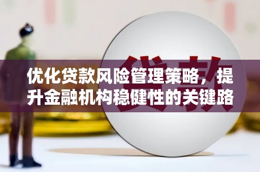 沙坪坝优化贷款风险管理策略，提升金融机构稳健性的关键路径