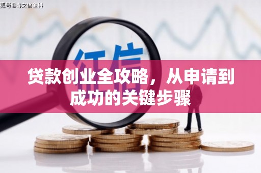 沙坪坝贷款创业全攻略，从申请到成功的关键步骤