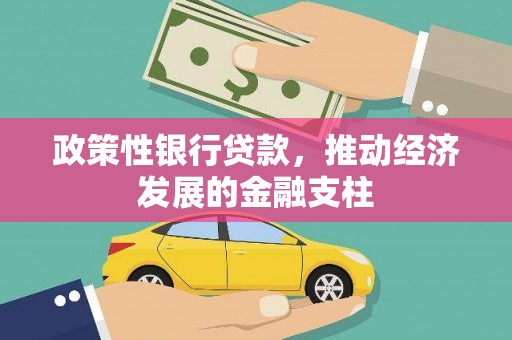 沙坪坝政策性银行贷款，推动经济发展的金融支柱