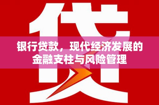 沙坪坝银行贷款，现代经济发展的金融支柱与风险管理
