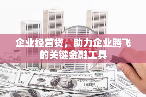 沙坪坝企业经营贷，助力企业腾飞的关键金融工具