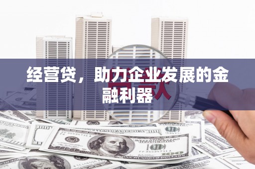 沙坪坝经营贷，助力企业发展的金融利器