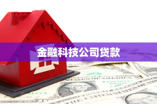 沙坪坝金融科技公司贷款
