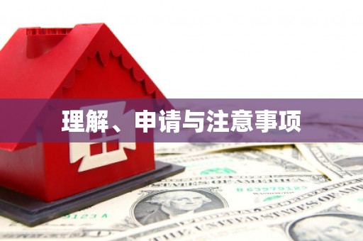 沙坪坝理解、申请与注意事项