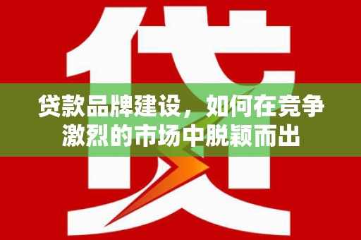 沙坪坝贷款品牌建设，如何在竞争激烈的市场中脱颖而出