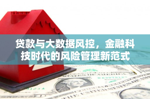 沙坪坝贷款与大数据风控，金融科技时代的风险管理新范式