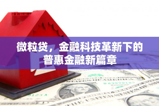 沙坪坝微粒贷，金融科技革新下的普惠金融新篇章