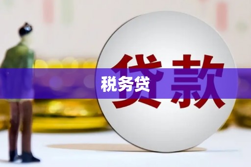 沙坪坝税务贷