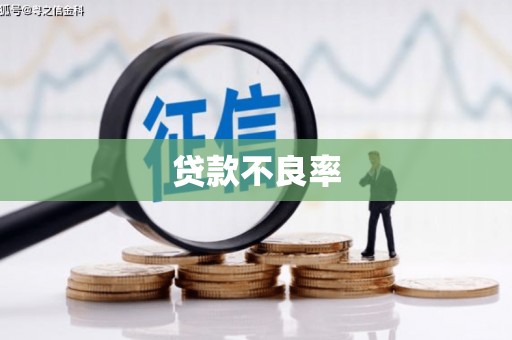 沙坪坝贷款不良率
