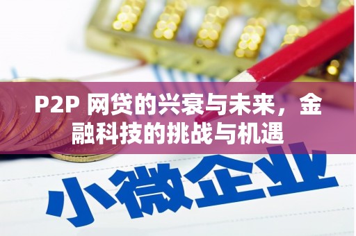 沙坪坝P2P 网贷的兴衰与未来，金融科技的挑战与机遇