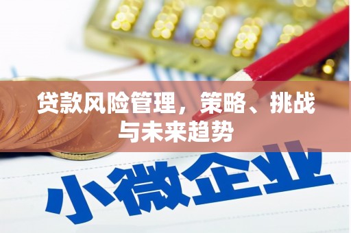沙坪坝贷款风险管理，策略、挑战与未来趋势