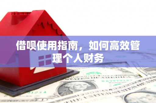 沙坪坝借呗使用指南，如何高效管理个人财务