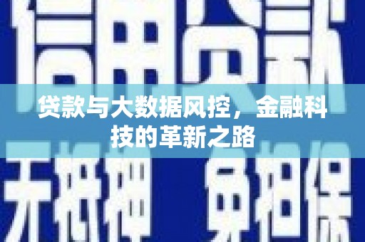 沙坪坝贷款与大数据风控，金融科技的革新之路