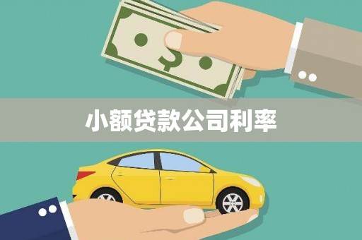 沙坪坝小额贷款公司利率