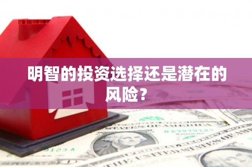 沙坪坝明智的投资选择还是潜在的风险？