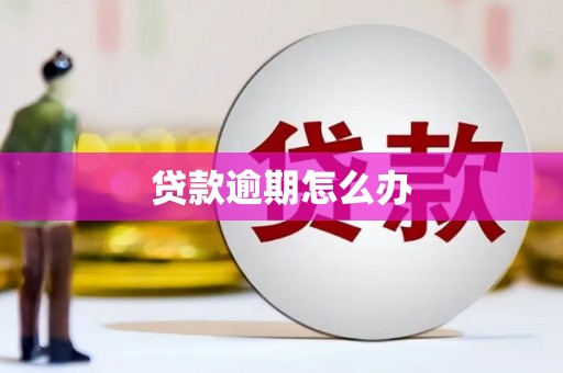 沙坪坝贷款逾期怎么办