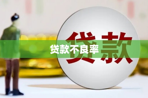 沙坪坝贷款不良率