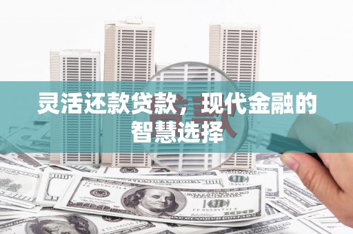 沙坪坝灵活还款贷款，现代金融的智慧选择