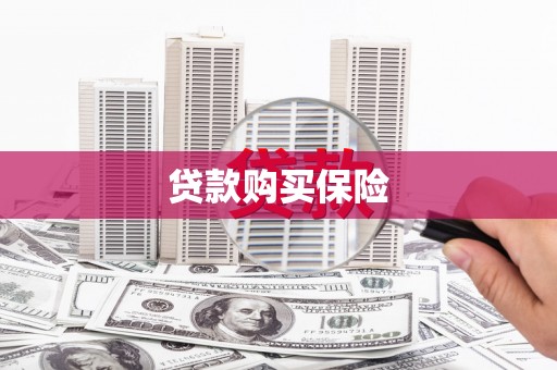 沙坪坝贷款购买保险