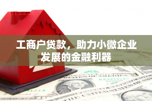 沙坪坝工商户贷款，助力小微企业发展的金融利器
