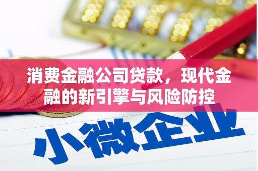 沙坪坝消费金融公司贷款，现代金融的新引擎与风险防控