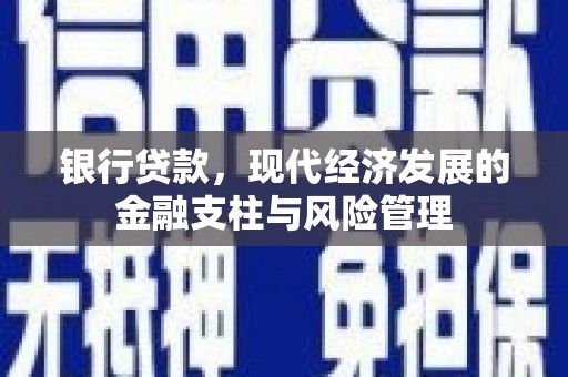 沙坪坝银行贷款，现代经济发展的金融支柱与风险管理
